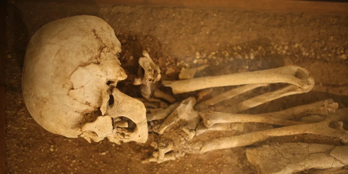 Spannender Fund bei der Sizewell C‑Atomkraftanlage: Ein „fürstliches“ Grab aus dem 7. Jahrhundert in Suffolk