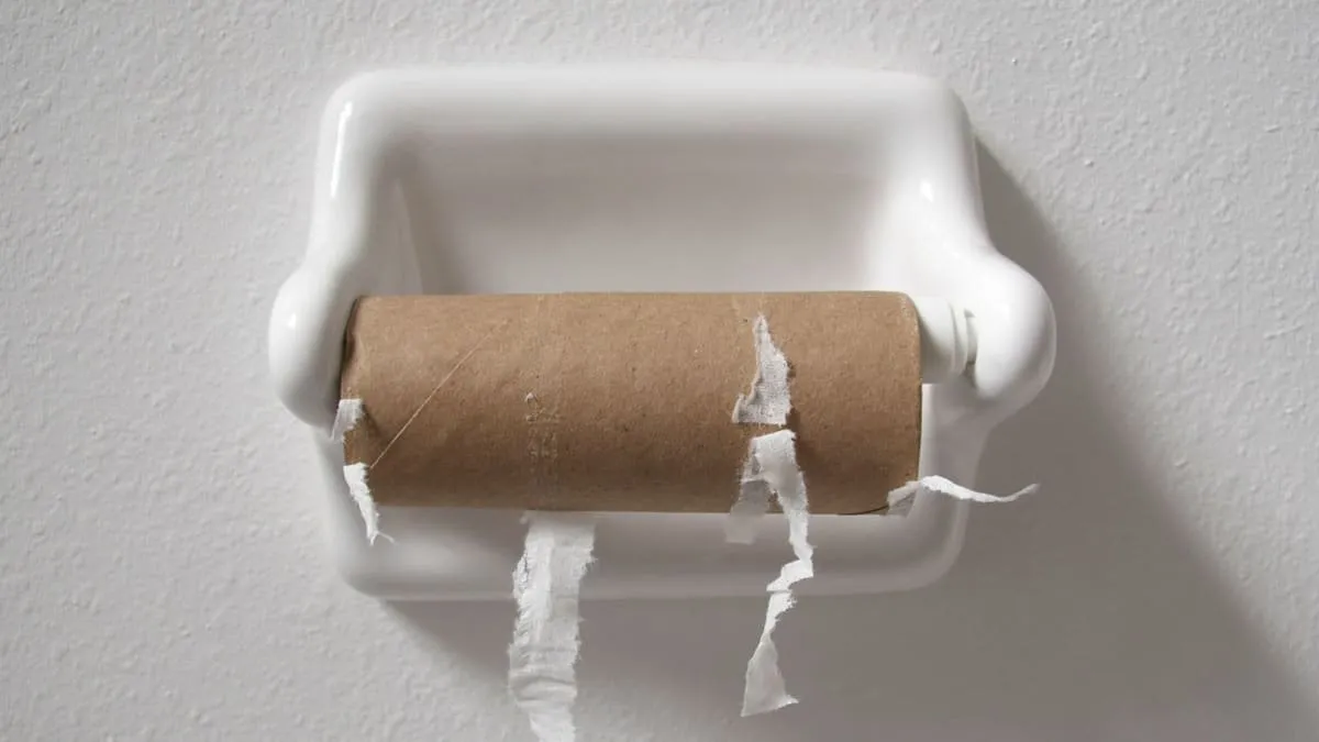 Das Aus fürs Toilettenpapier in Tschechien: Wasserbasierte Alternativen legen zu